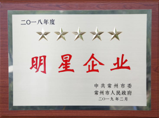常寶股份榮獲“工業(yè)五星級企業(yè)”、“納稅金獎”等多項(xiàng)大獎156.png